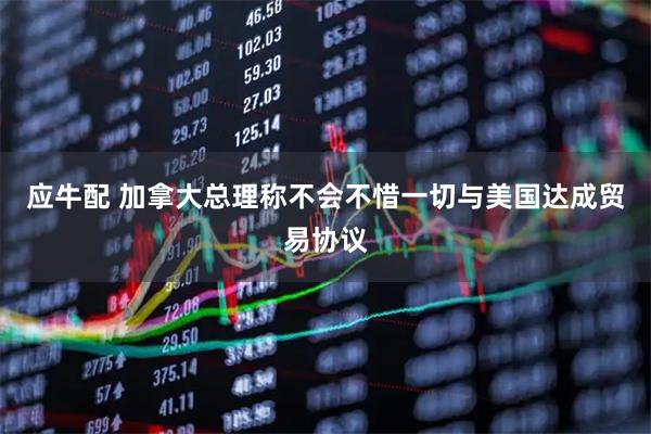 应牛配 加拿大总理称不会不惜一切与美国达成贸易协议