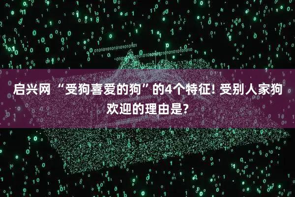 启兴网 “受狗喜爱的狗”的4个特征! 受别人家狗欢迎的理由是?